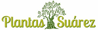 Logo Plantas Suárez