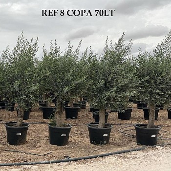 REF 9 OLIVIER COPA 70 LITRES