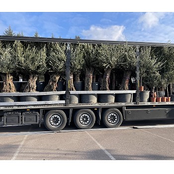 CAMION TYPE IMPLANTATION