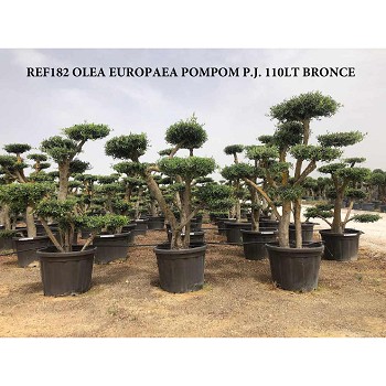 REF 182 OLIVIER POMPOM POT BRONZE DE 110 LITRES 