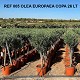 Viveros 1 : REF 005 OLIVIER COPA 26 LITRES