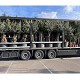 Viveros 1 : CAMION TYPE IMPLANTATION