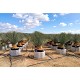 Viveros 1 : REF 177 YUCCA ROSTRATA POT DE 35/45 LITRES 