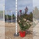 Viveros 8 : LS10 LAGERSTROMEA INDICA (LILAS DES INDES) 10 LTRS