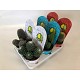 Viveros 6 : 5893 CACTUS OU SUCCULENTES MIX POT COUVERT DE 12