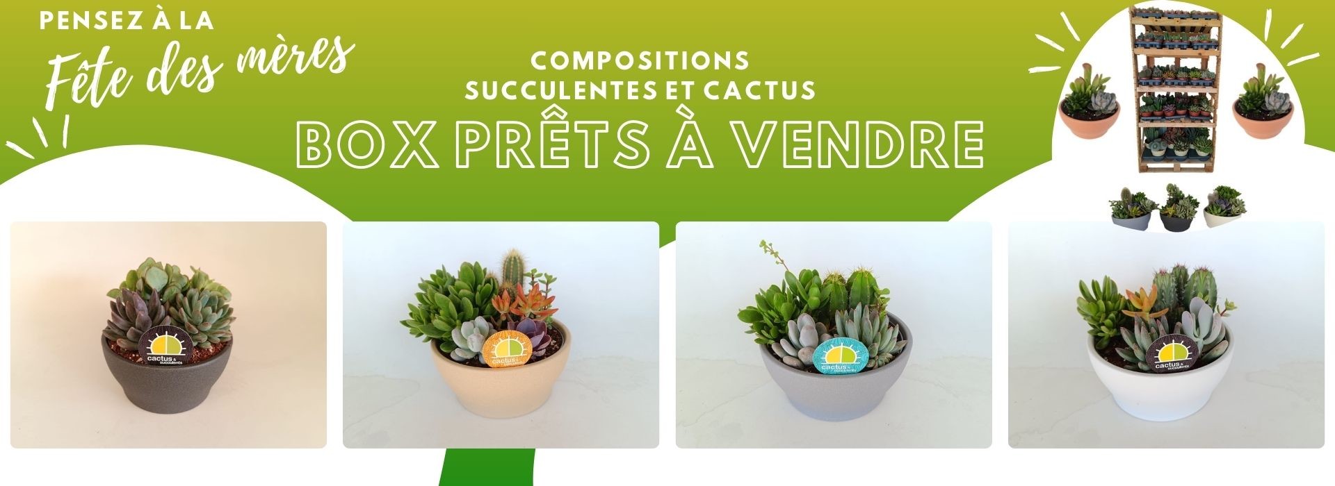Jumbofleurs à Ham-sous-Varsberg, magasin de plantes et fleurs